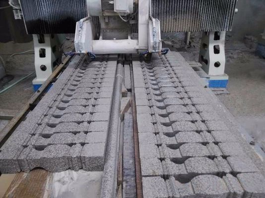 Le doppie lame sollevano il tipo la tagliatrice di pietra di profilo 850mm